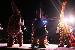 Dockyard festival scrapped for new attraction