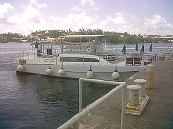 Water taxi to fill gap of ferry cuts?