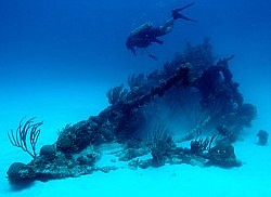 Deep sea gold rush could bankroll Bermuda
