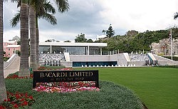 How I find my inspiration in Bacardi